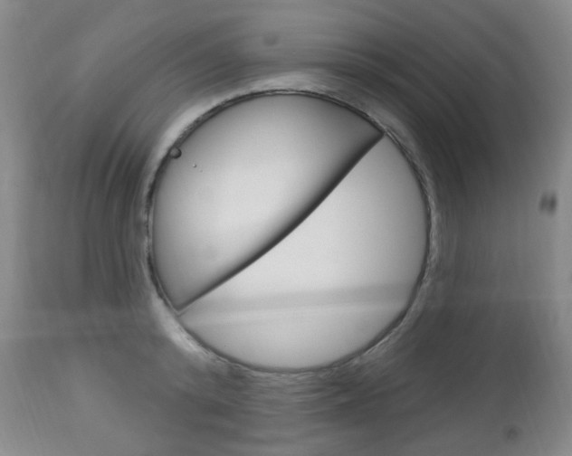 X0000113130800200909040931