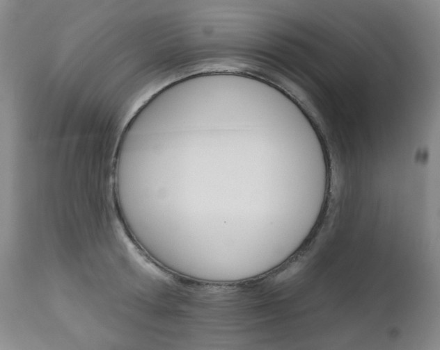 X0000113130802200909040931