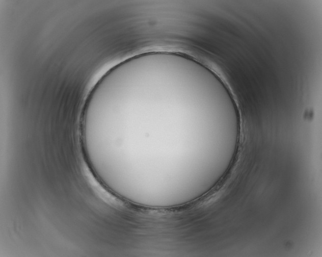 X0000113130803200909040931