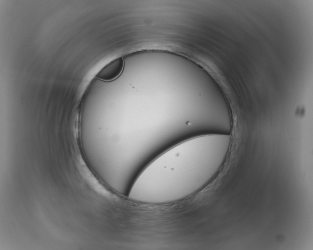 X0000113130804200909040931