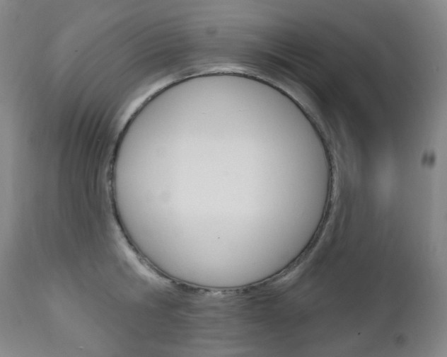 X0000113130806200909040931