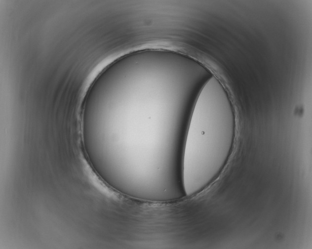 X0000113130808200909040931