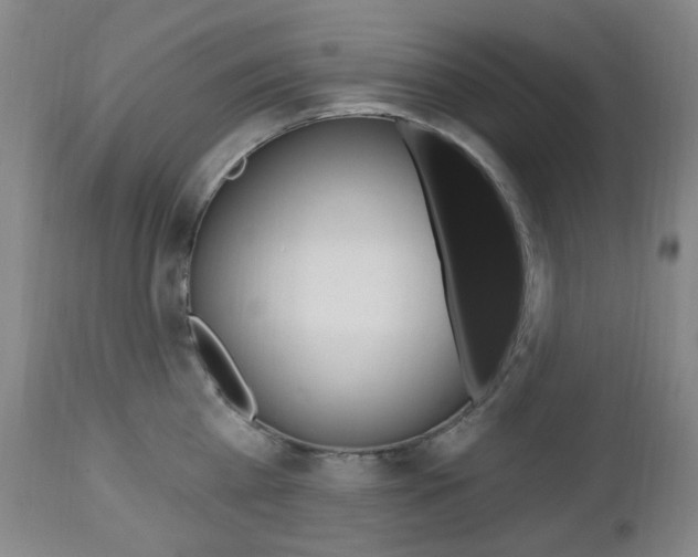 X0000113130809200909040931