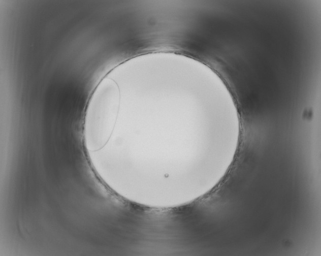 X0000113130810200909040931