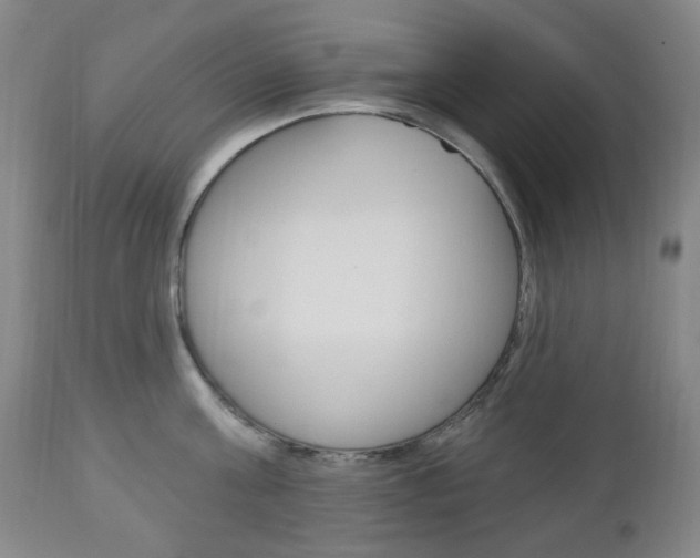 X0000113130811200909040931