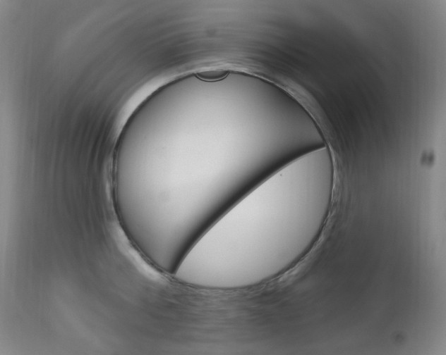 X0000113130812200909040931