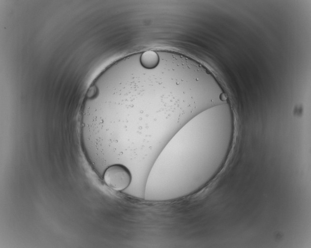 X0000113130814200909040931