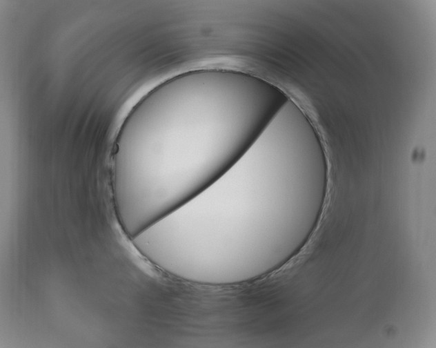 X0000113130816200909040931