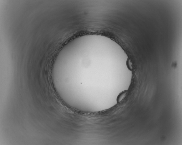 X0000113130817200909040930