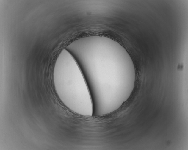 X0000113130818200909040930