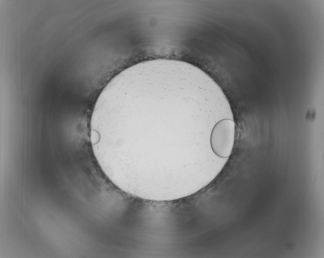 X0000113130820200909040930
