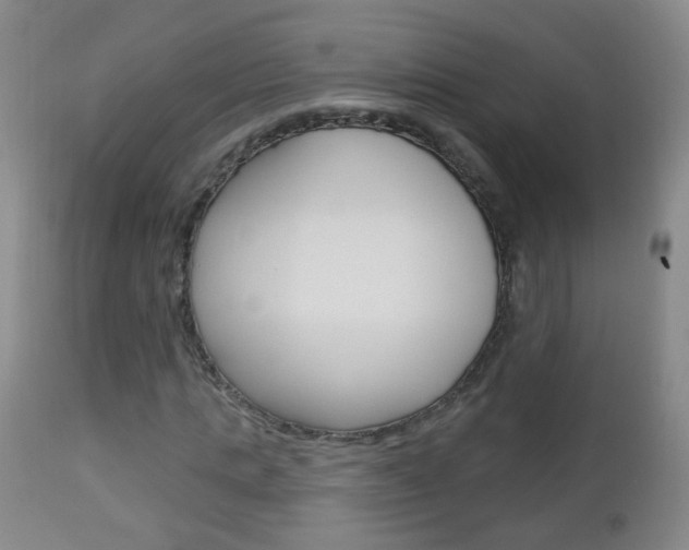 X0000113130821200909040930