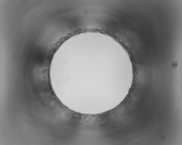 X0000113130824200909040931