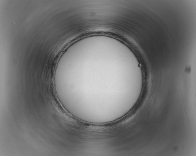 X0000113130825200909040931