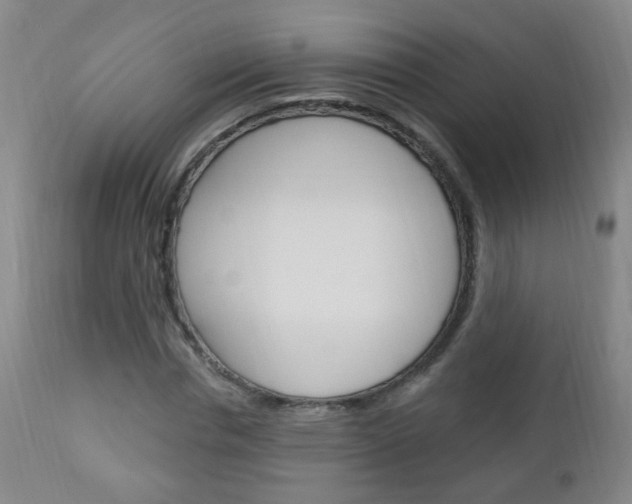 X0000113130826200909040931