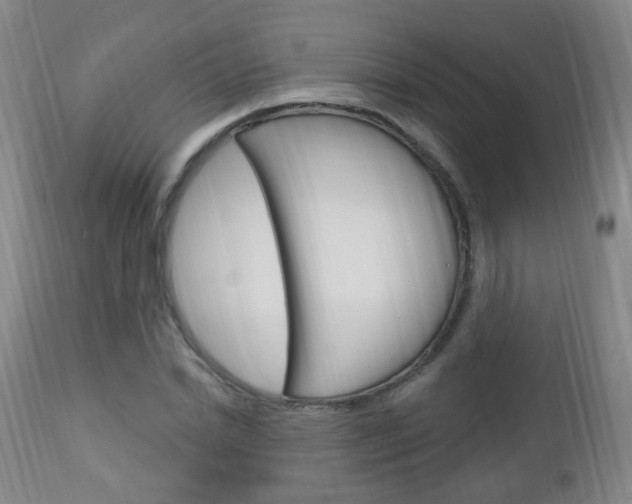 X0000113130830200909040931