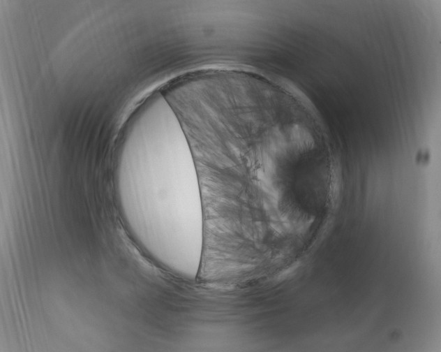 X0000113130831200909040931