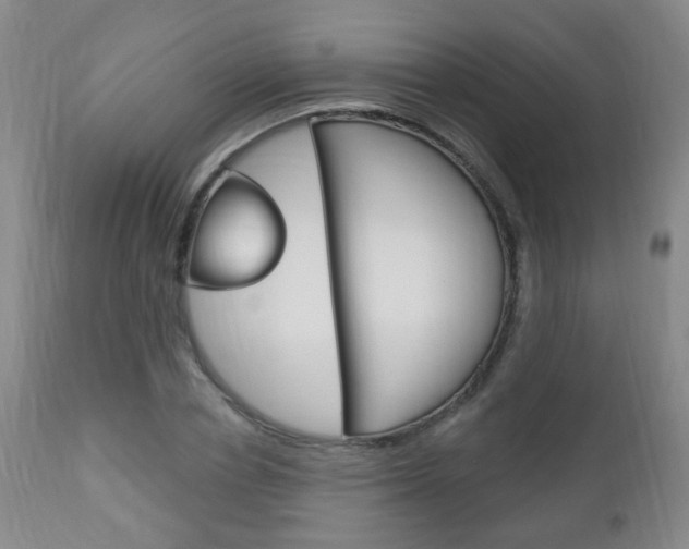 X0000113130834200909040931