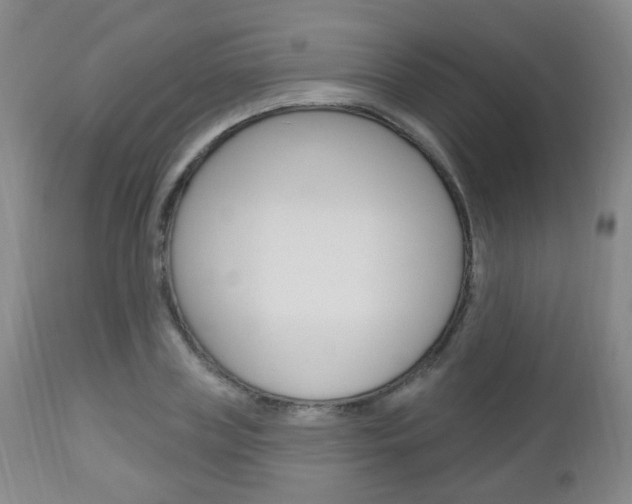 X0000113130835200909040931