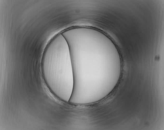 X0000113130840200909040931