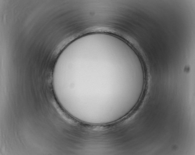X0000113130841200909040931