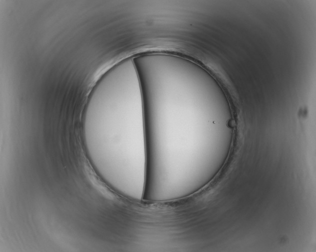 X0000113130842200909040931
