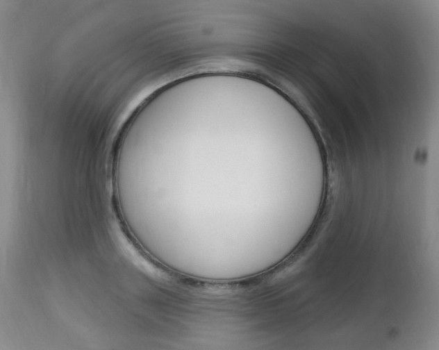 X0000113130843200909040931