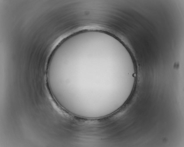 X0000113130845200909040931