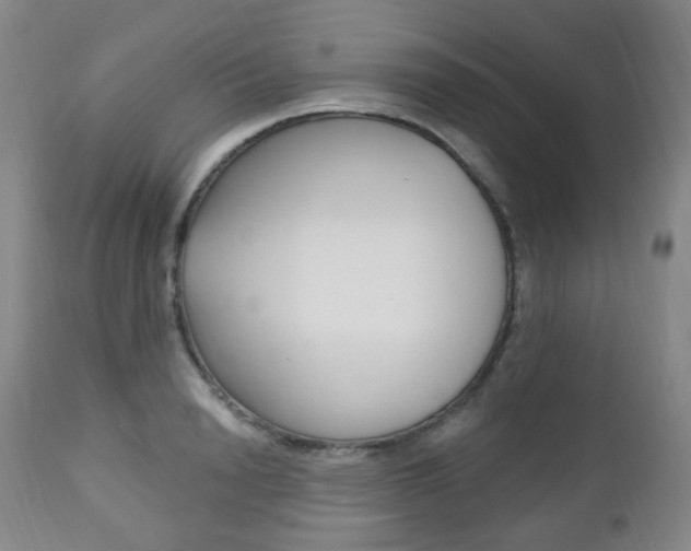 X0000113130846200909040931
