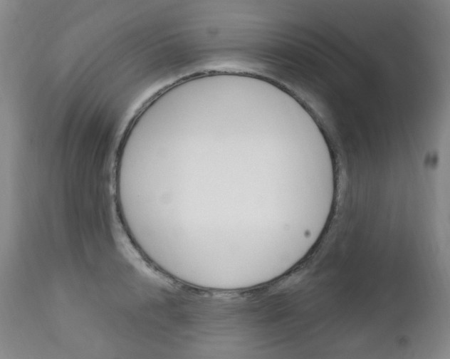 X0000113130848200909040931