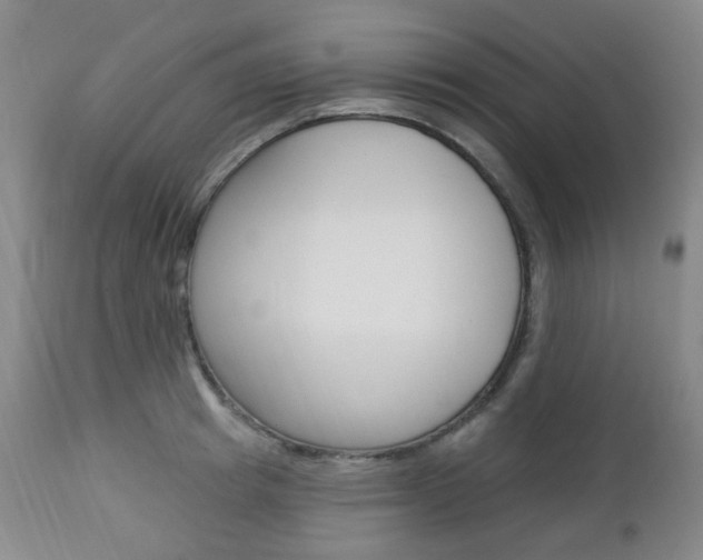 X0000113130849200909040931