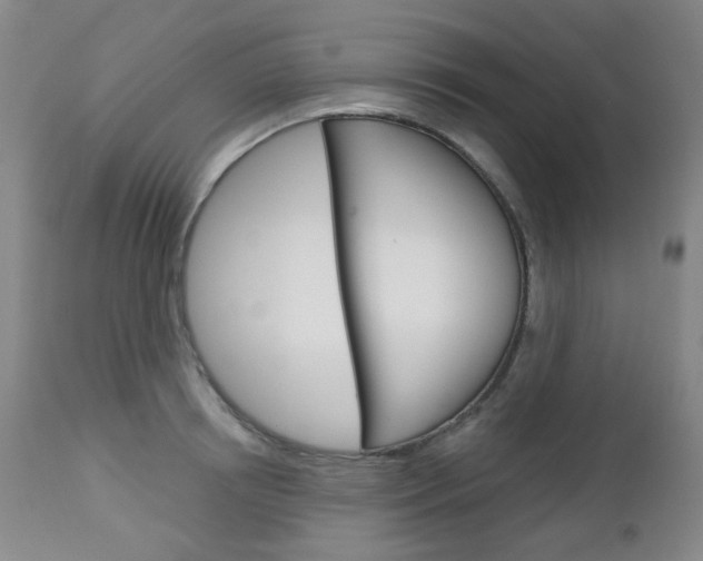 X0000113130850200909040931