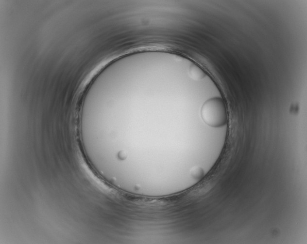 X0000113130851200909040931