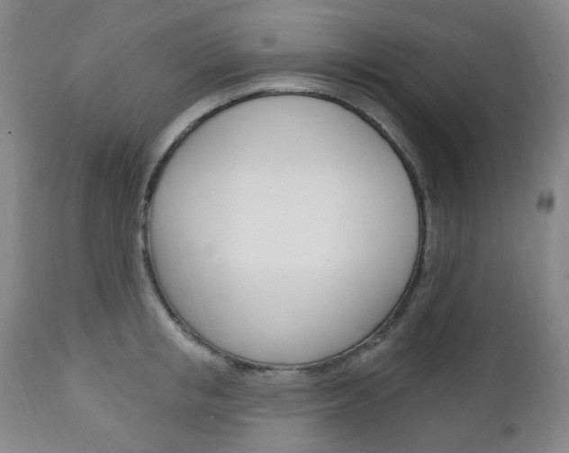 X0000113130853200909040931