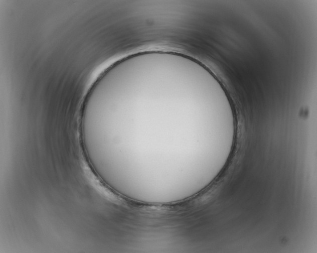 X0000113130854200909040931