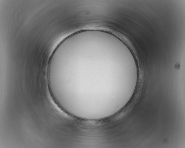 X0000113130855200909040931