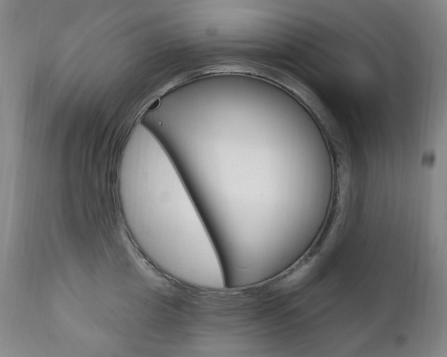X0000113130857200909040931