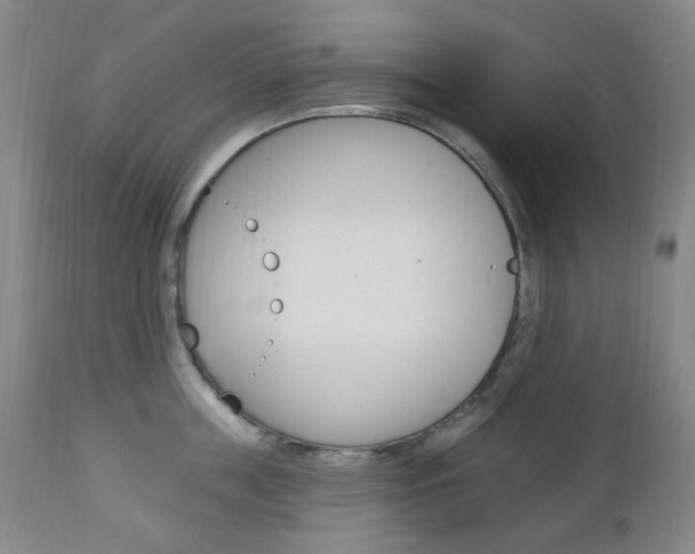 X0000113130859200909040931