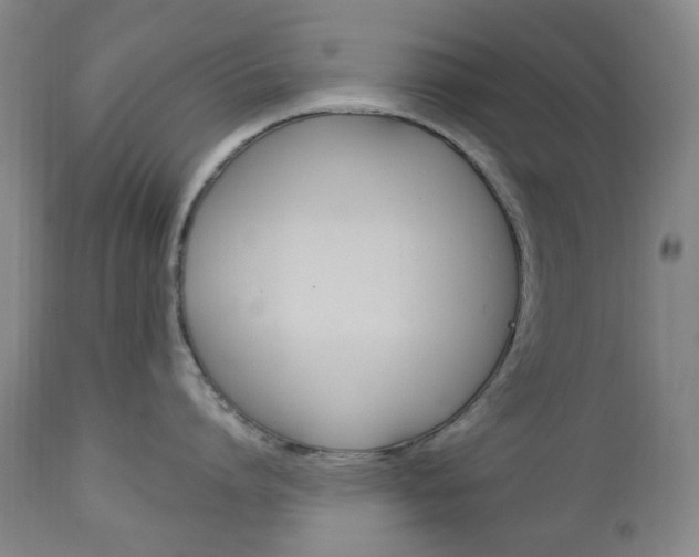 X0000113130864200909040931