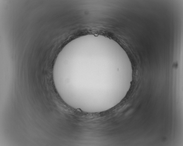 X0000113130865200909040930