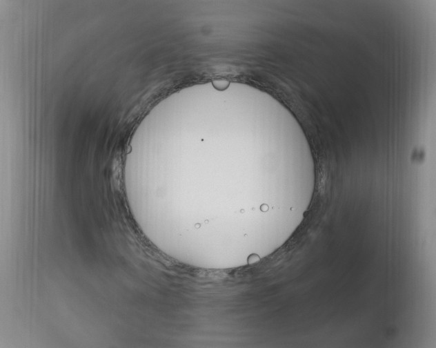 X0000113130866200909040930