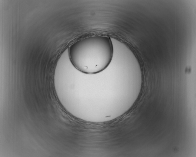 X0000113130868200909040930