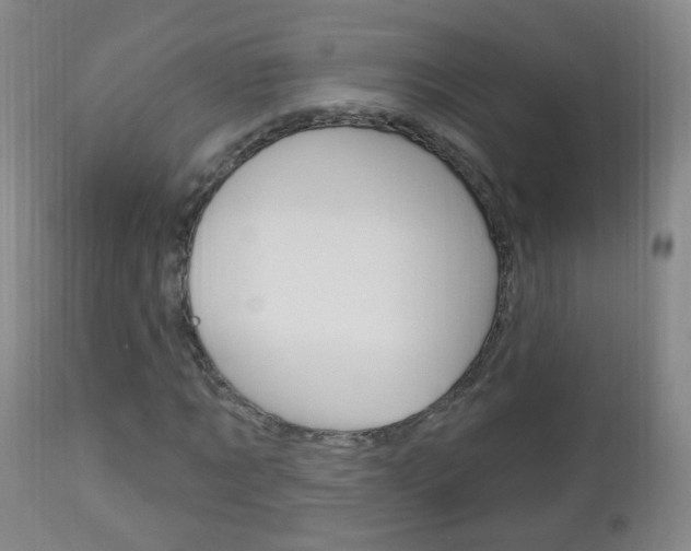X0000113130869200909040930