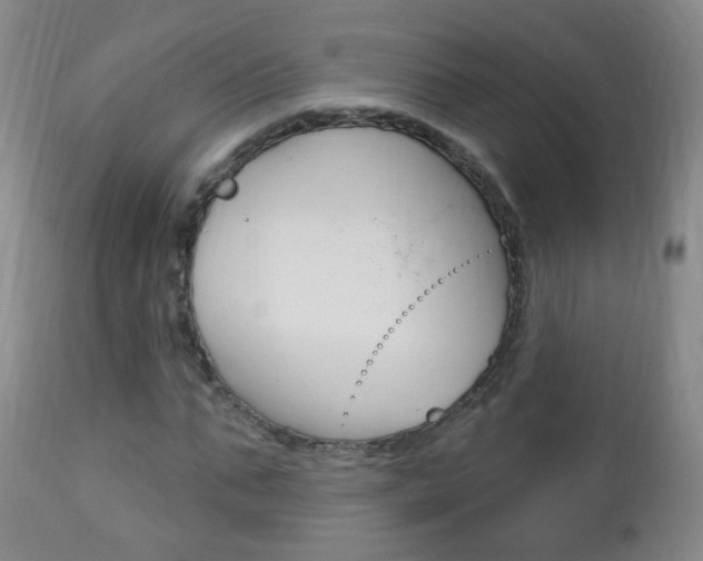 X0000113130871200909040930