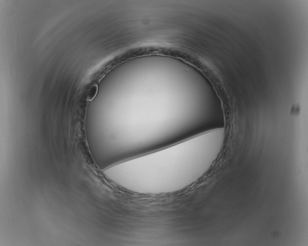 X0000113130872200909040930