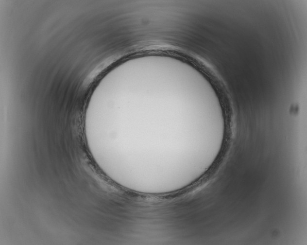 X0000113130873200909040930
