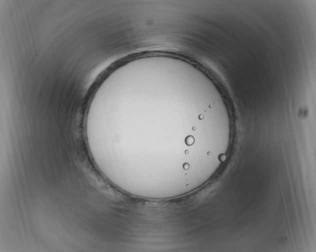 X0000113130875200909040930