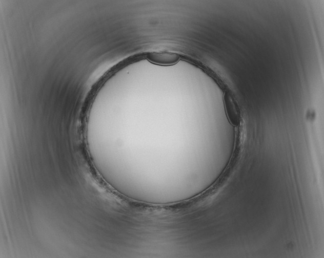 X0000113130876200909040930