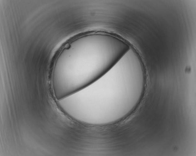 X0000113130880200909040930