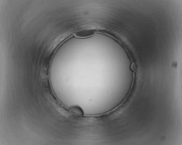 X0000113130881200909040930